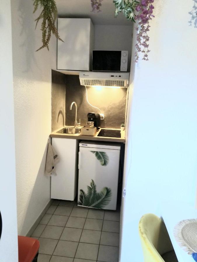 Jungle Studio Proche De La Gare Grenoble Ngoại thất bức ảnh